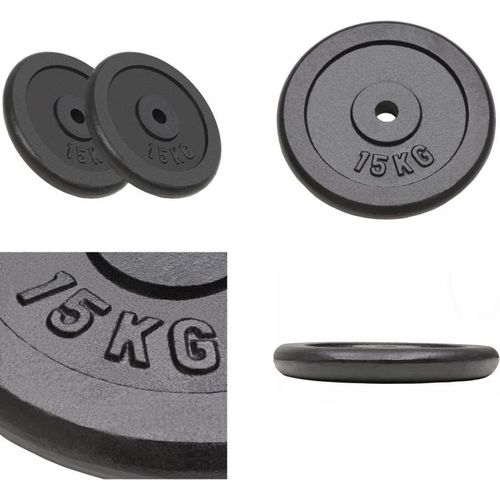 vidaXL Hantelscheiben 2 Stk. 2x15 kg Gusseisen - Hantelscheibe - Hantelscheiben - Gewichtsscheibe - Gewichtsscheiben