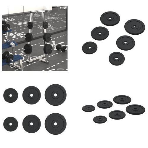 vidaXL Hantelscheiben 6 Stk. 30 kg Gusseisen - Hantelscheibe - Hantelscheiben - Gewichtsscheibe - Langhantel-Scheibe