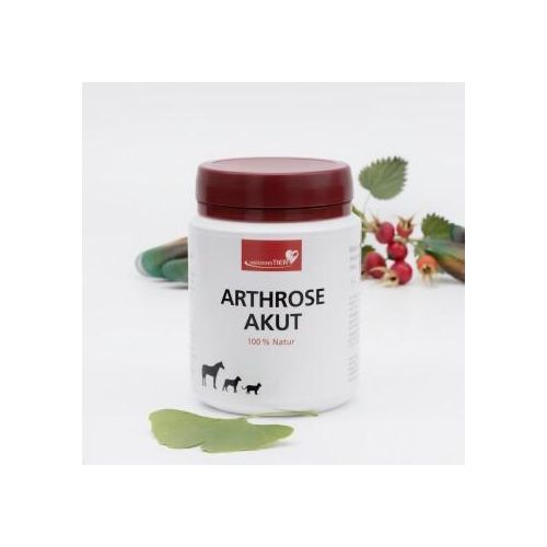 HerzensTier Arthrose akut 25 ml