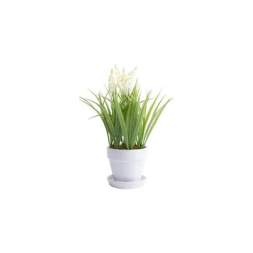 Kunstblume BOTANIC-HAUS "Muskari getopft", beige (creme, weiß), B:18cm H:26cm T:18cm Ø:18cm, Kunststoff, Kunstpflanzen
