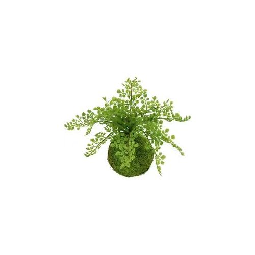 Kunstpflanze I.GE.A. "Farnbusch auf Mooskugel", grün, B:27cm H:30cm L:27cm, Kunststoff, Kunstpflanzen, Kunstpflanze, Künstliche Pflanze Waldfarn