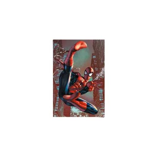 Poster REINDERS "Poster Spider-Man", rot (farbe bild(er): rot), B:61cm H:91,5cm, Papier, Bilder, Poster