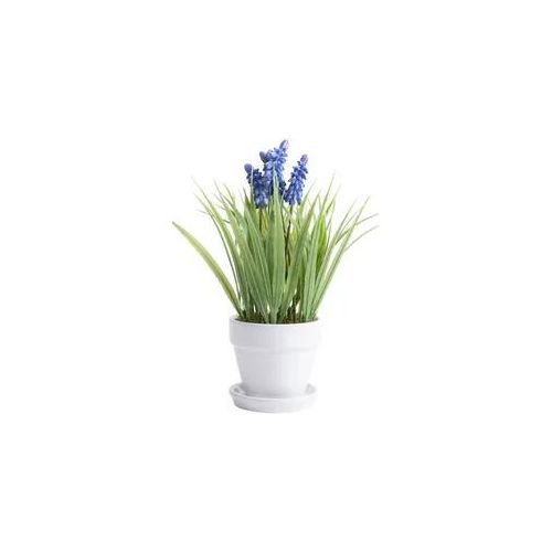 Kunstblume BOTANIC-HAUS "Muskari getopft", lila (lila, blau), B:18cm H:26cm T:18cm Ø:18cm, Kunststoff, Kunstpflanzen