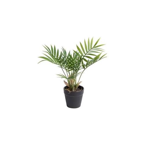 Künstliche Zimmerpflanze BOTANIC-HAUS "Chamaedorea Palme", grün, B:30cm H:28cm T:30cm Ø:30cm, Kunststoff, Kunstpflanzen, Künstliche Zimmerpflanze