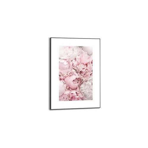 Bild REINDERS "Gerahmtes Bild Pfingstrosen Blumen - Romantisch", rosa (farbe bild(er): rosa), B:50cm H:70cm, MDF, Bilder, Bild