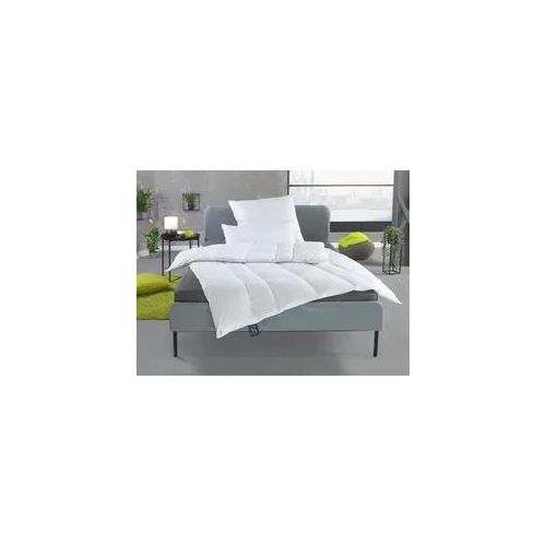 Gänsedaunenbettdecke HAEUSSLING "Select - Made in Green", weiß, B:135cm L:200cm, Bettdecken Bezug: 100% Baumwolle. Bettdecken Füllung: 100% Gänsedaunen, Bettdecken, hochwertiges Daunenprodukt