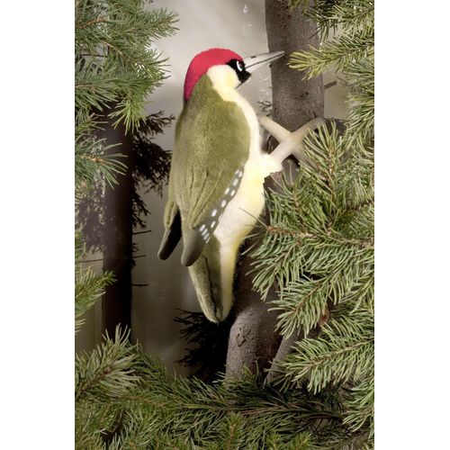 Kösen Grünspecht 27 cm Plüschgrünspecht