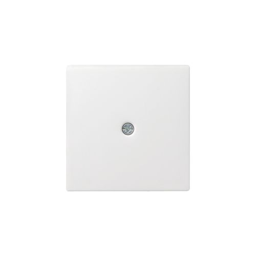 Gira Zentraleinsatz rws-gl f.Schnurableitung 027403)