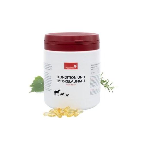 HerzensTier Kondition und Muskelaufbau 600 ml