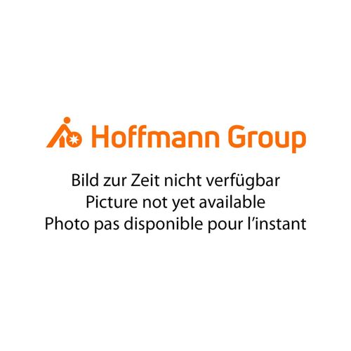 HOLEX LED Stiftlampe mit Akku, Typ: 160 (081361 160)