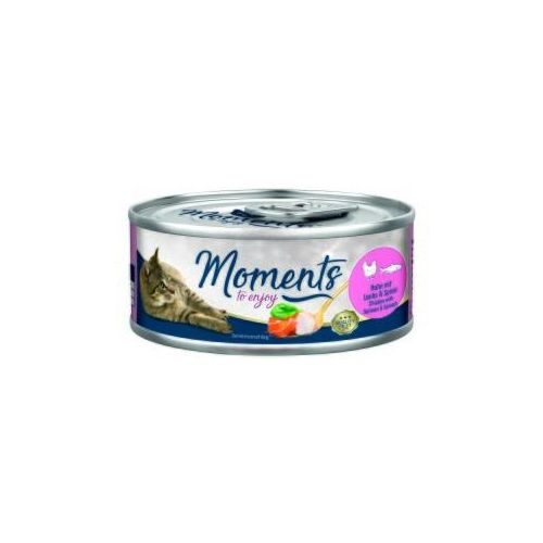 MOMENTS Adult Huhn mit Lachs und Spinat 48x70 g