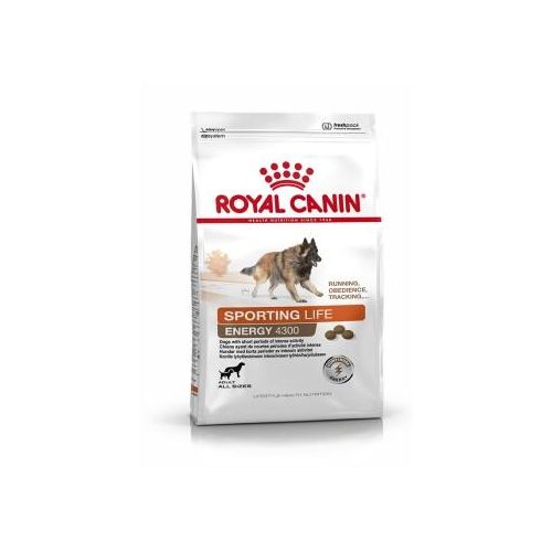 ROYAL CANIN ÉNERGIE 4300 (TRAIL) 15 kg