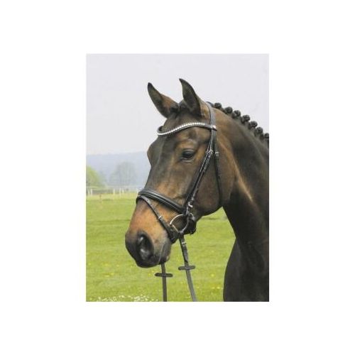 Hans Melzer Horse Equipment Hans Melzer Trense Valluhn schwarz/silber schwedisches Reithalfter Pony