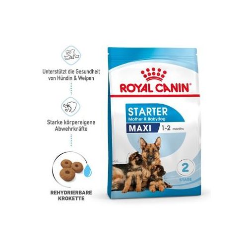 ROYAL CANIN MAXI Starter 15kg