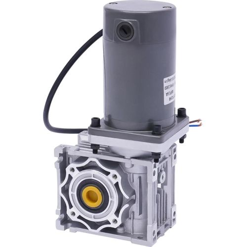 Schneckengetriebemotor - DM09 RV Schneckengetriebe - 120 W Hohes Drehmoment - 1800 U/min - DC 12 V - Silber