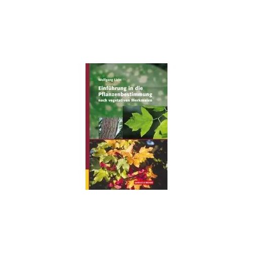 Einführung in die Pflanzenbestimmung nach vegetativen Merkmalen