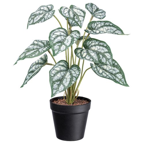 Kunstpflanze Syngonium II in Grün/Weiß