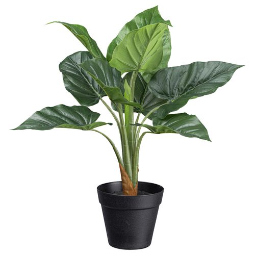 Kunstpflanze Anthuriumpflanze II in Grün