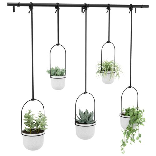 Pflanzentop Schwarz/Weiß