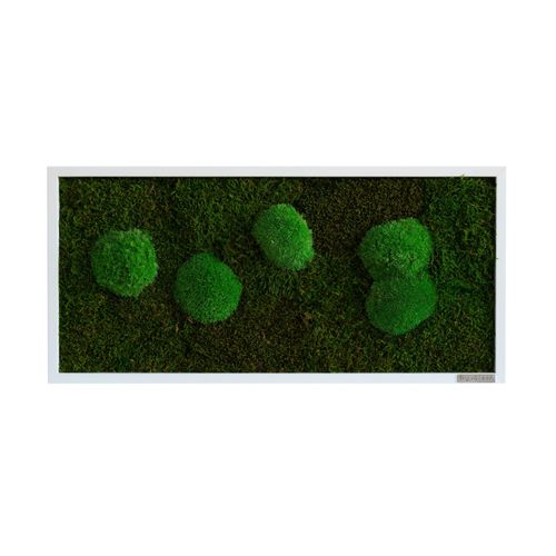Moosbild Grün