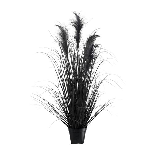 Kunstpflanze Pampasgras I in Schwarz
