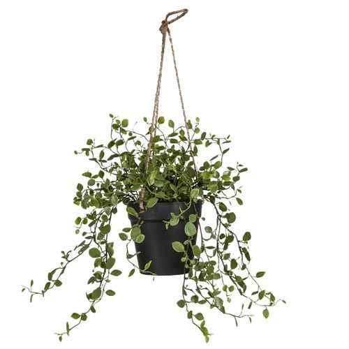 Kunstpflanze Mühlenbeckiaampel Grün ca. 31cm