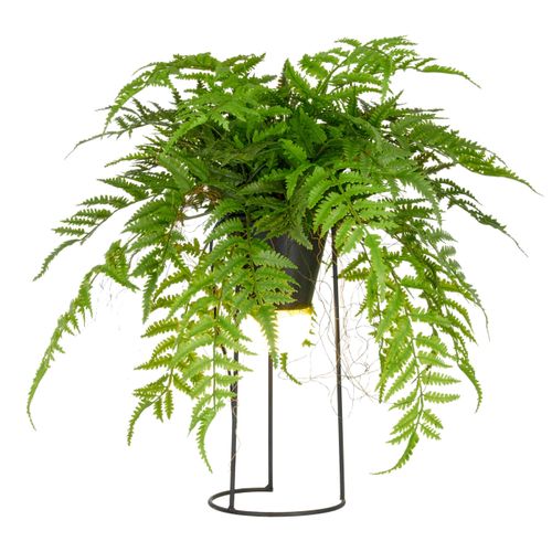 Kunstpflanze Farnmix Grün ca. 60cm