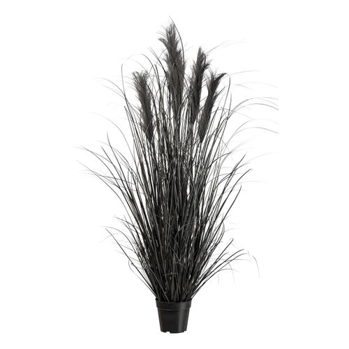 Kunstpflanze Pampasgras I in Schwarz