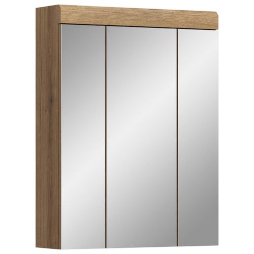 Spiegelschrank Scout ca. 60x79x18 cm