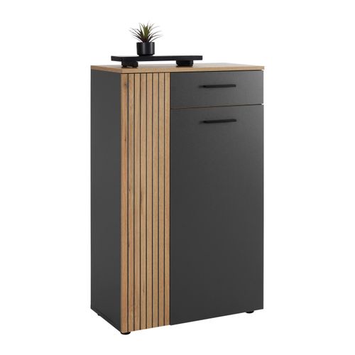 Schuhschrank Cadix Anthrazit/Eichefarben