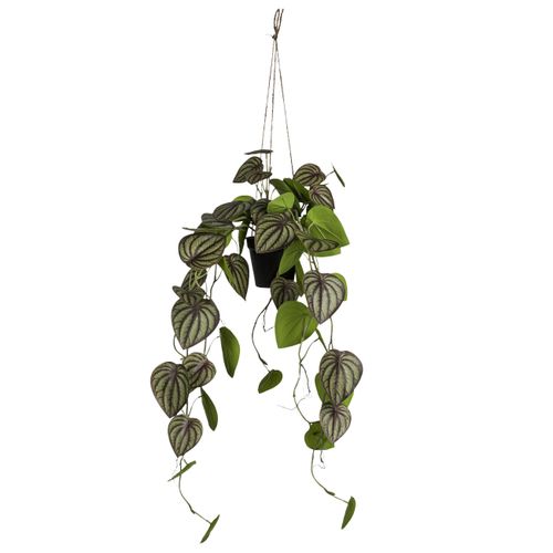 Kunstpflanze Zwergpfeffer II Grün