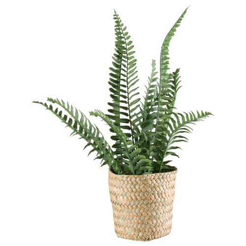 Kunstpflanze Straussenfarn II in Grün