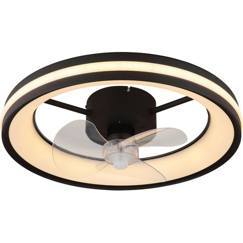 Deckenventilator Hayla Schwarz/Transparent