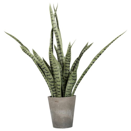 Kunstpflanze Sanseveria in Grün/Grau