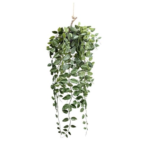 Kunstpflanze Epipremnum II in Grün