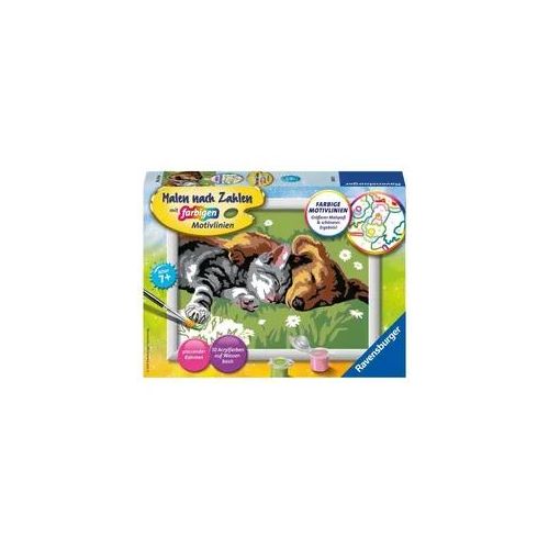 Ravensburger Malen nach Zahlen, tiefer Schlaf