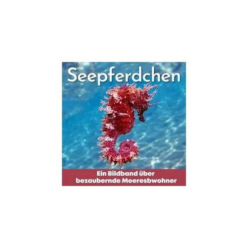Seepferdchen