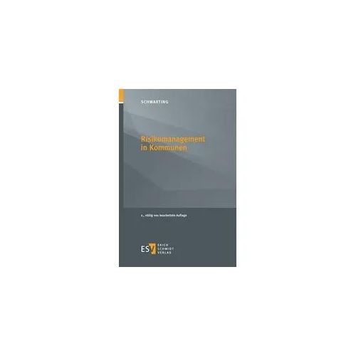 Risikomanagement in Kommunen