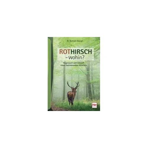Rothirsch - wohin?