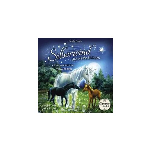 Silberwind, das weiße Einhorn (Band 9) - Eine zauberhafte Verwandlung
