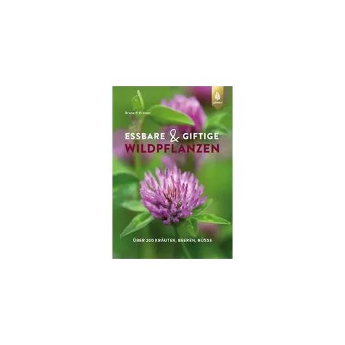 Essbare und giftige Wildpflanzen
