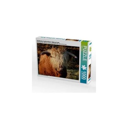Schottisches Hochland Rind - Highland Cattle (Puzzle)