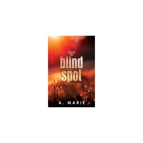 Blind Spot Discreet Cover