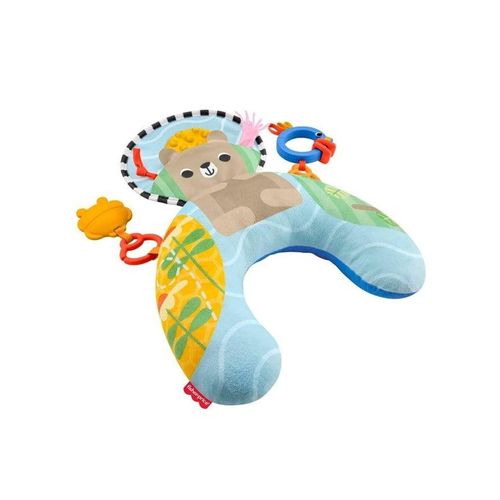 Fisher Price Fisher-Price JHB44 learning toy