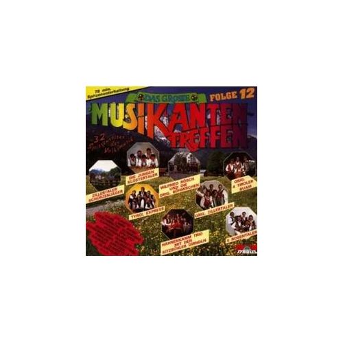 Das Gr.Musikantentreffen 12