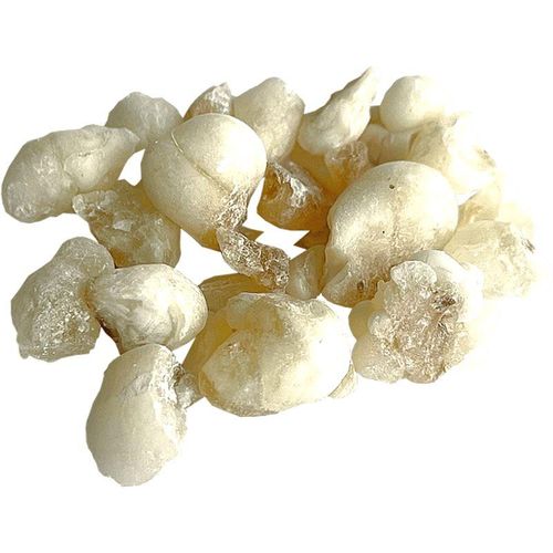 Jungle Way Oman Hojari White Royal wierook 20 g
