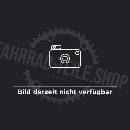 Sram Getriebe;für i-Motion 9 Rücktritt;