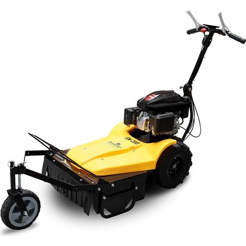 BAMATO Mulchmäher GM-200 mit LONCIN Motor