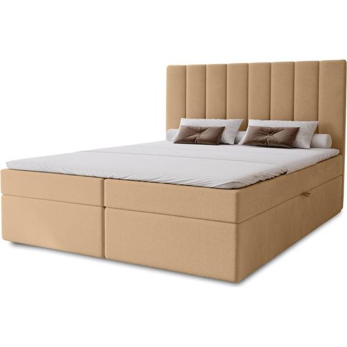 Hotel-Doppelbett 160x200 GRETNA – Warmbeige