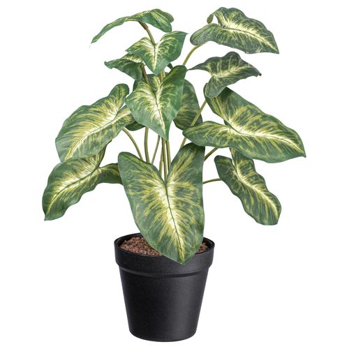 Kunstpflanze Syngonium II in Grün